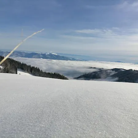 Vakantiehuis In Nahe Klippitztoerl Skigebiet