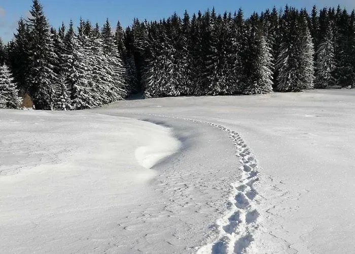 Feriehus In Nahe Klippitztoerl Skigebiet *